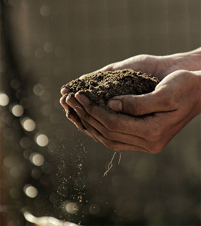Handful of Compost